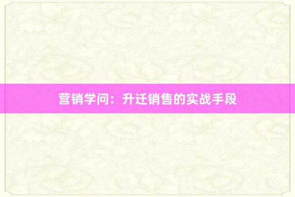 营销学问：升迁销售的实战手段